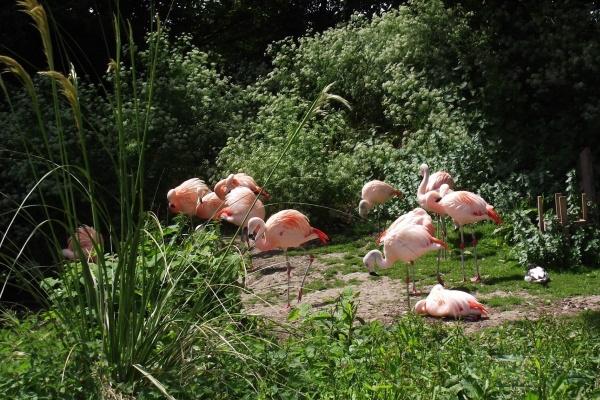 72岁属马有灾难吗