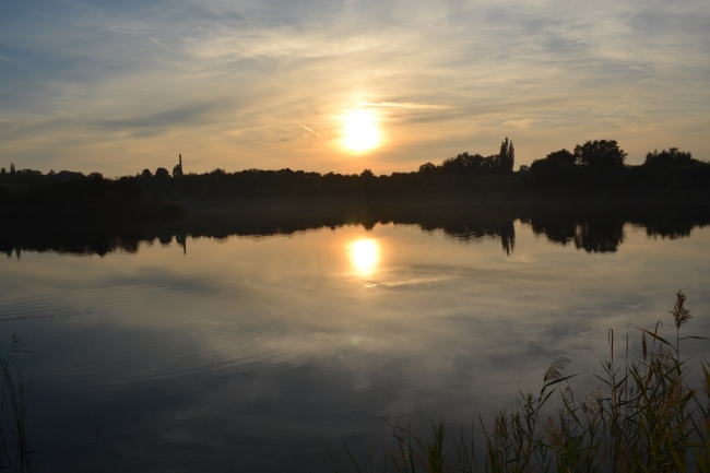 已婚属羊男会偷偷爱上别人吗