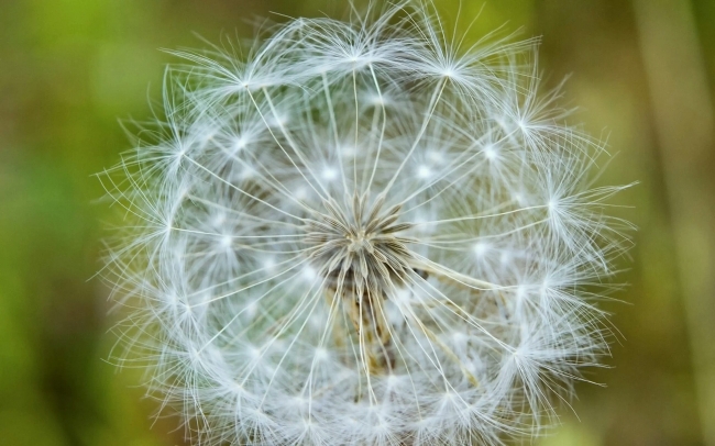 73年牛是苦牛还是富牛