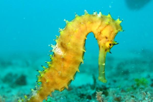 1984年出生 是什么命