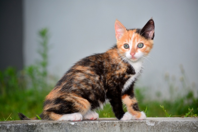 1997年买房最佳楼层和方位