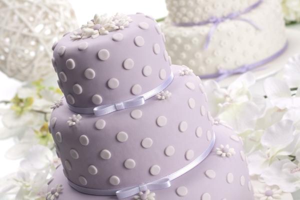 生肖兔2026年运势吉凶如何