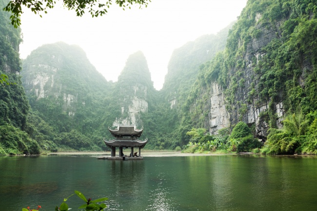 梦见好多水蛇是什么意思?