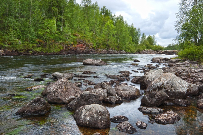 2026年生肖龙结婚大利月是几月