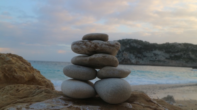 2026年是属狗人最大转变