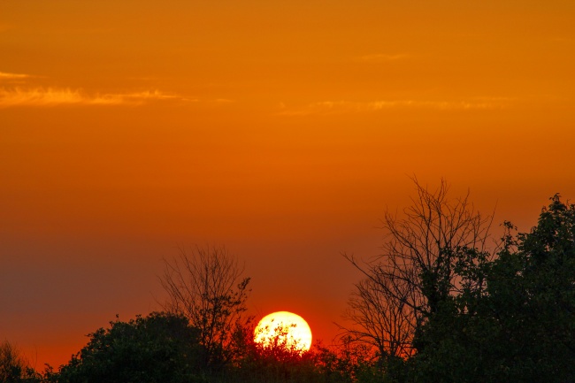 79羊人正缘出现年龄