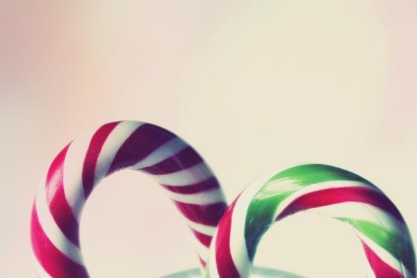 2026年属狗终于转运了