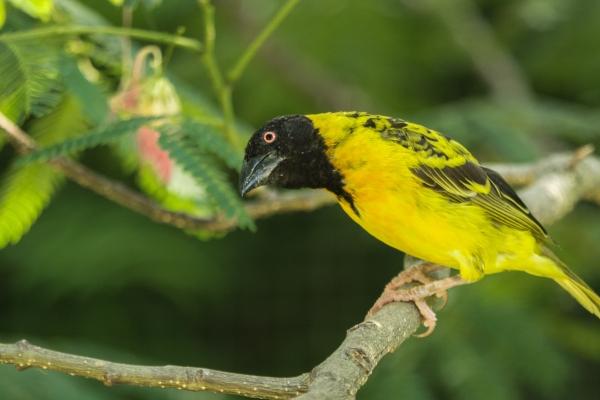 2026年是属龙人最大转变