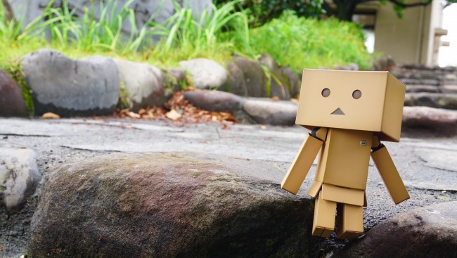 2026属兔几月有贵人