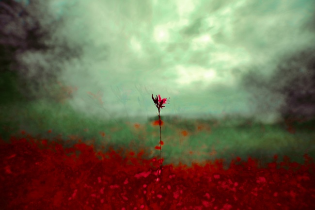 2026年农历三月出生的男孩命运