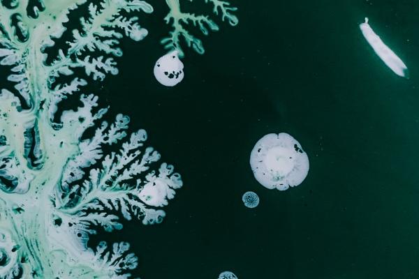 1990属马2026年生宝宝好不好呢