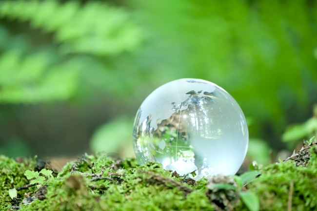 2025年农历9月哪天扫墓好