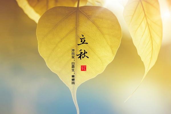 2026年生肖猪孽缘生肖是谁