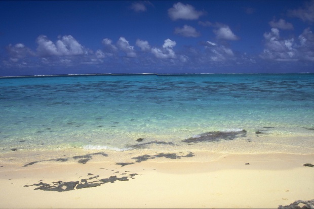 66年男马2026年婚姻运势如何