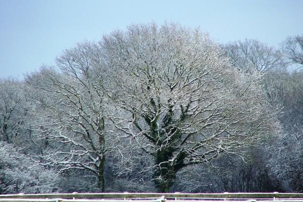 2026年生肖属猴投资吉凶分析