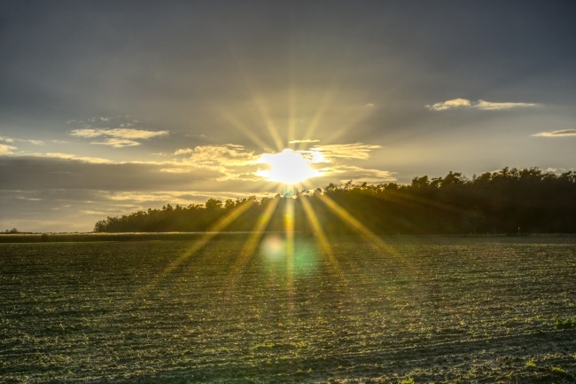 属猪人运势不顺怎么化解