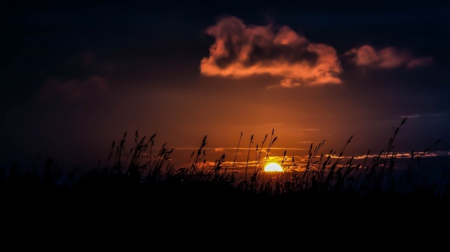 2026属蛇的大忌颜色