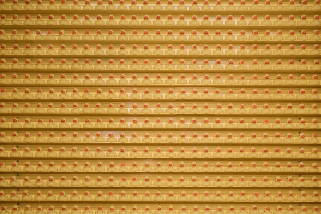 属马2026年有大喜缠身