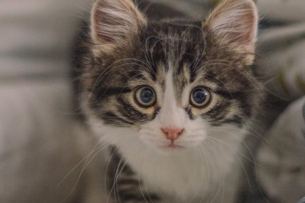 2026属马的贵人和小人是谁