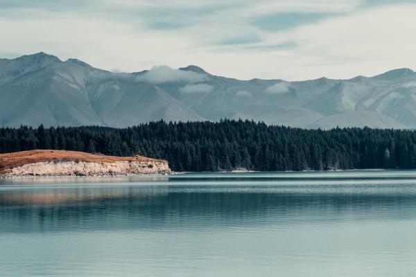 2026年生肖属鸡投资吉凶分析