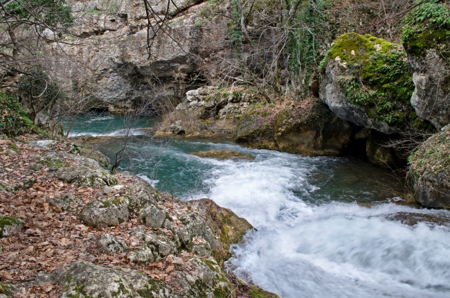 几月出生猪劳碌一生