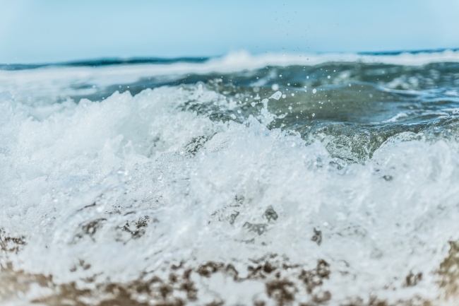 几月出生鸡劳碌一生