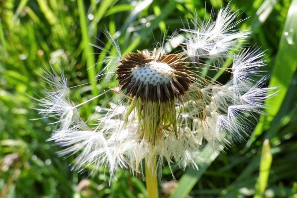 1962年属虎人2026年运势