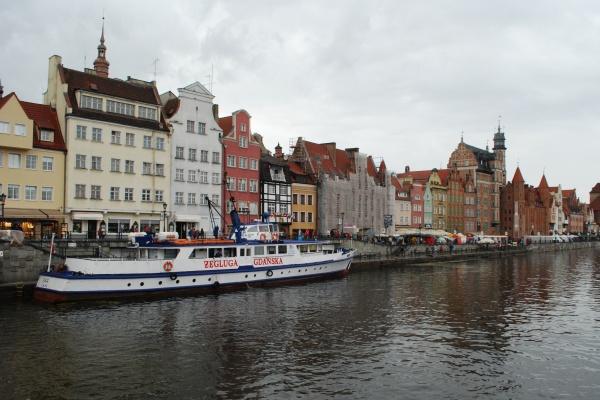 几月出生狗劳碌一生