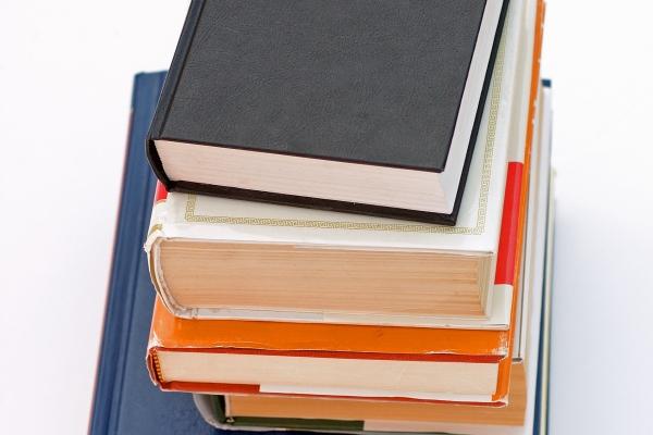 2026年事业运最好的狗,2026年什么狗事业运最旺