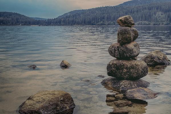 1983年生肖猪在2026年的劫难