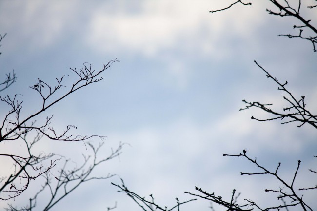 93属鸡不能买几楼