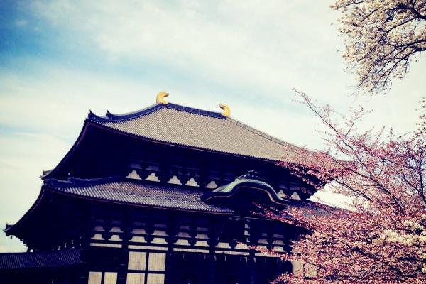 2026年谁会帮属狗的人,谁是生肖狗的贵人