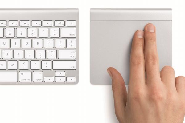 属狗的2026年最倒霉的月份,2026年属狗人几月最倒霉