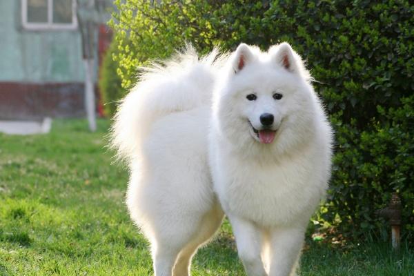 金马命住几楼好