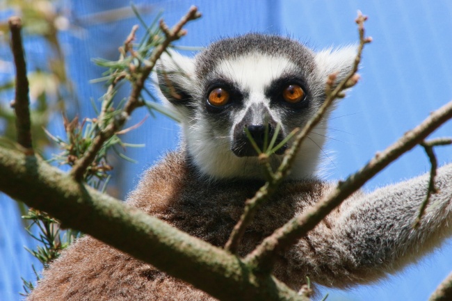 2026年3月祭祀吉日一览表