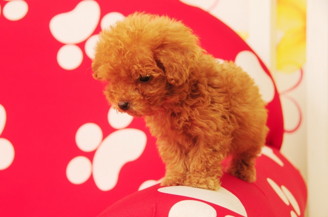 2026年3月哪天适合上香