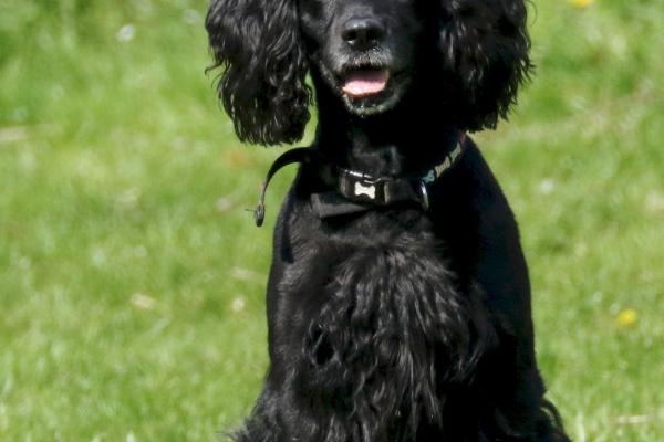 2026年4月几号相亲好