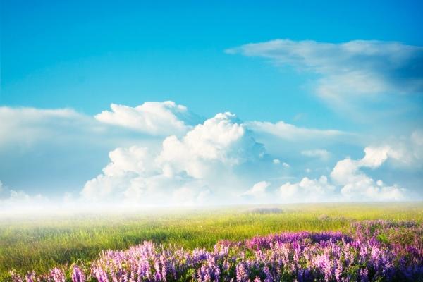 属兔人不能碰的桃花，属兔一生桃花劫是谁