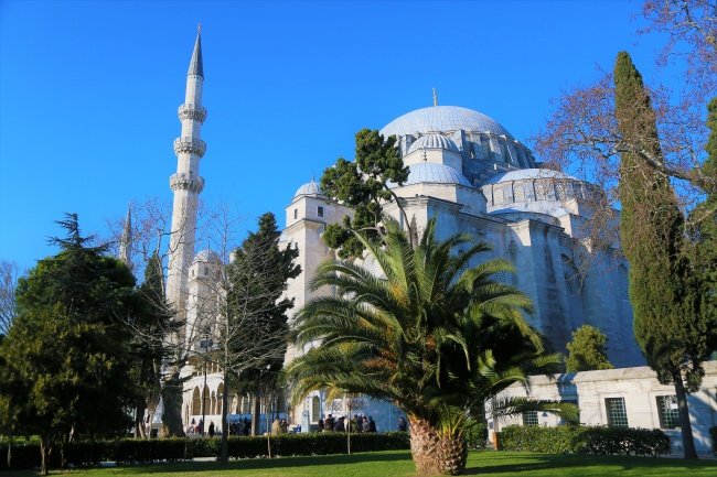 属马人不能碰的桃花,属马一生桃花劫是谁