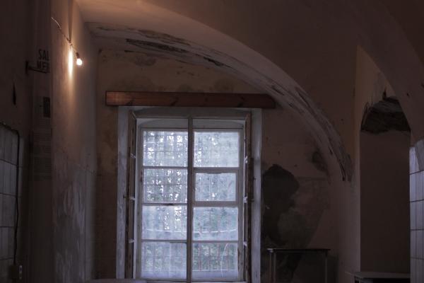 属蛇人把谁放在第一位