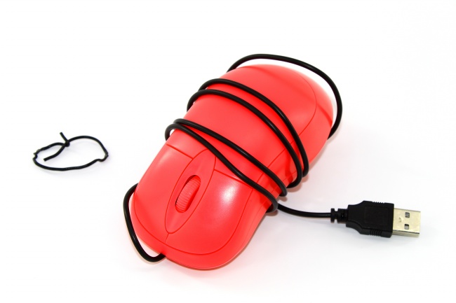 属鼠人2026年事业运如何