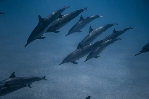 梦见有男生追求怎么样