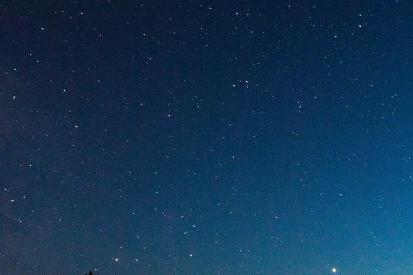 属虎今年有哪三灾，属虎2026年运势怎么样