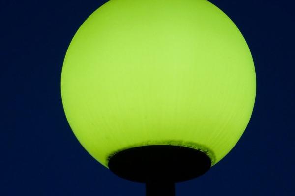 属羊人2026桃花是谁