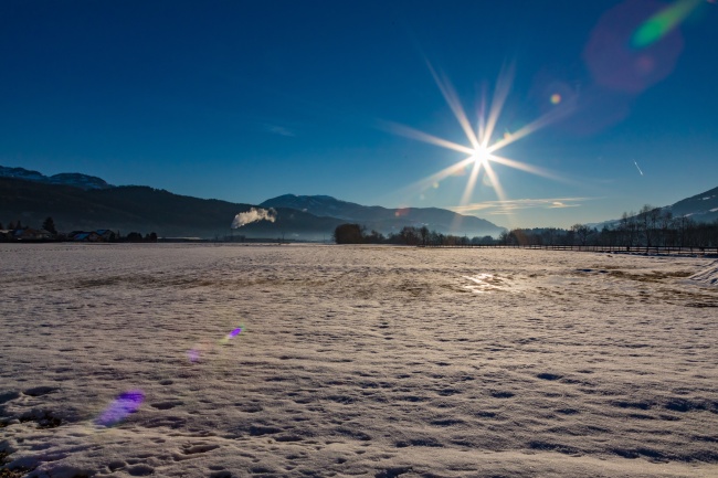 属猪今年有哪三灾,属猪2026年运势怎么样