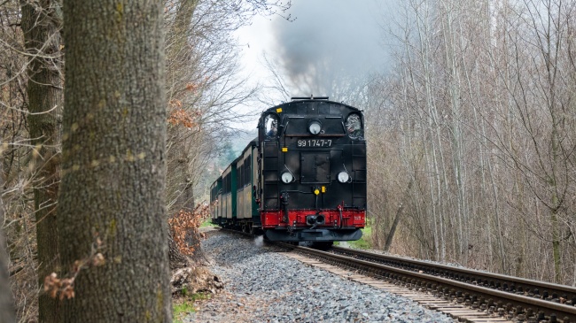 生肖牛的晚年宿命