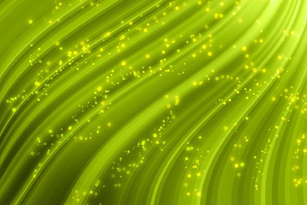 2026年属猪人上半年运势