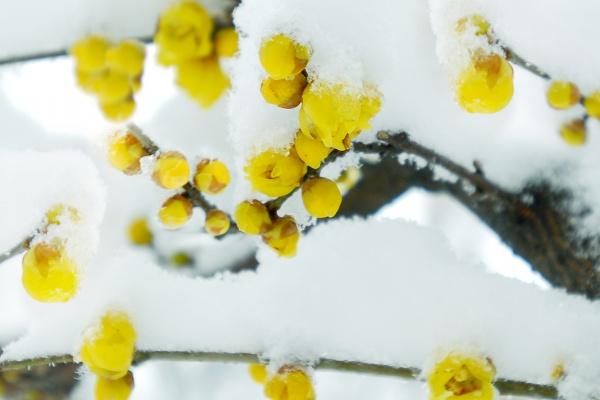 2026年阴历5月哪天适合买房