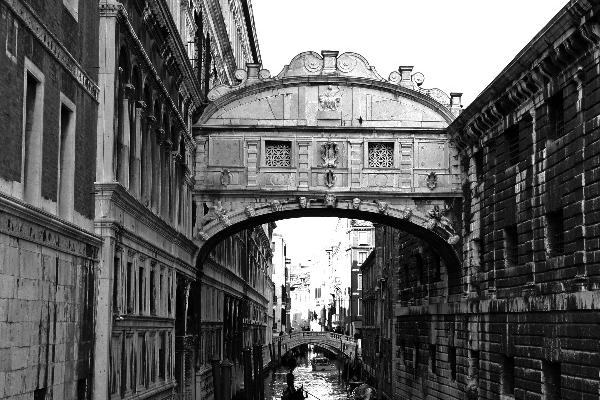 2026年属鸡是百年难遇吗