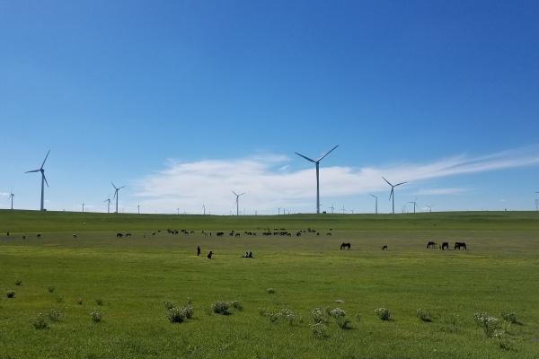 虎男一生守护什么生肖女